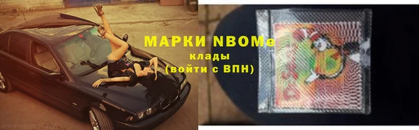 индика Арсеньев