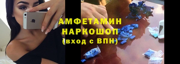индика Арсеньев