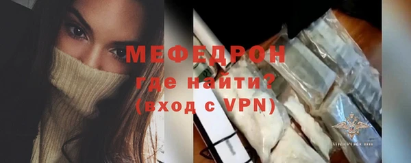 индика Арсеньев