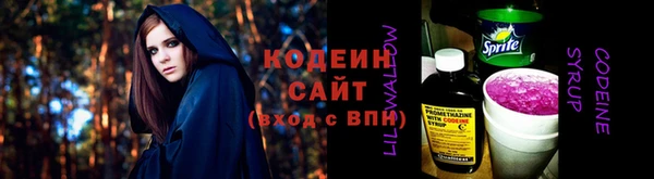 индика Арсеньев