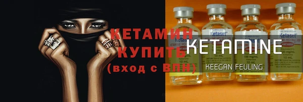 индика Арсеньев