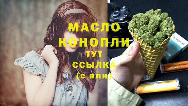 индика Арсеньев