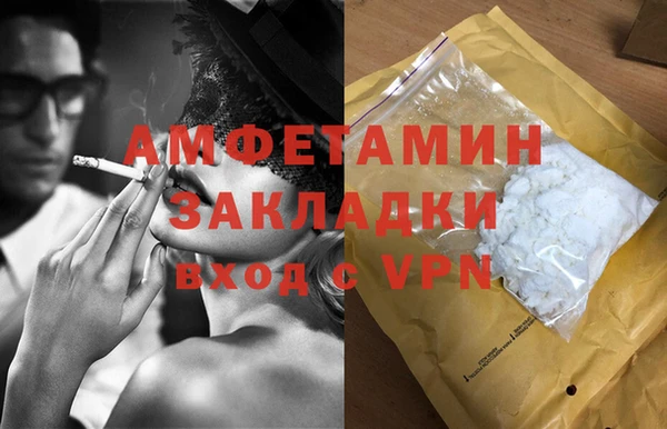 индика Арсеньев