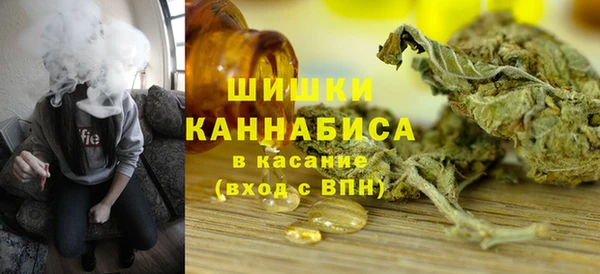 индика Арсеньев