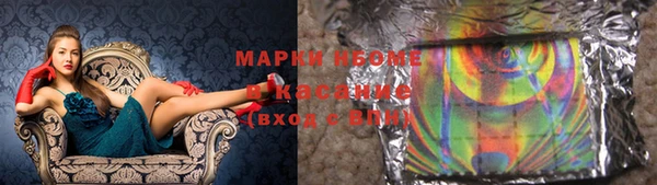 индика Арсеньев