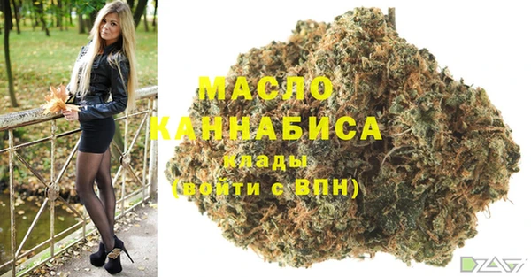индика Арсеньев